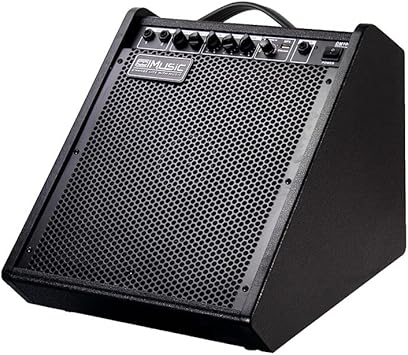 Coolmusic Electric Drum AMP 100-Watt Electronic Drum Amplifier DM100 Keyboard Speaker with Wireless Audio Connection, with 3-Band EQ and DI Out Black